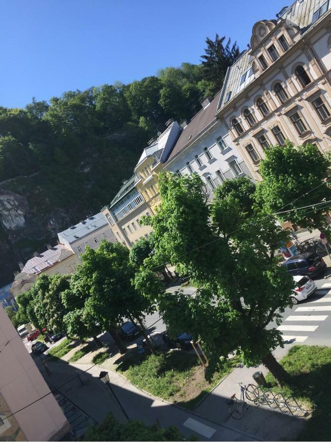 Modernes 3zi-app. Im Herzen Salzburgs * Salzburg