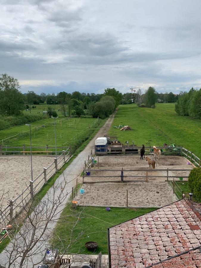 Garconniere Im Grunen Herzen Von
