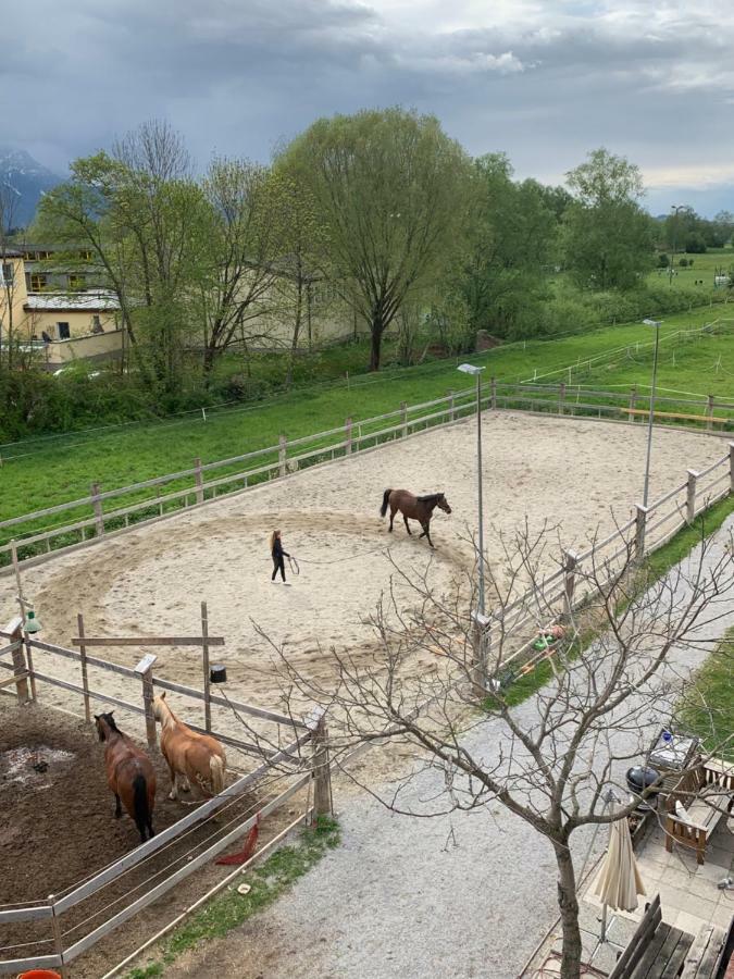 Garconniere Im Grünen Herzen Von Salzburg