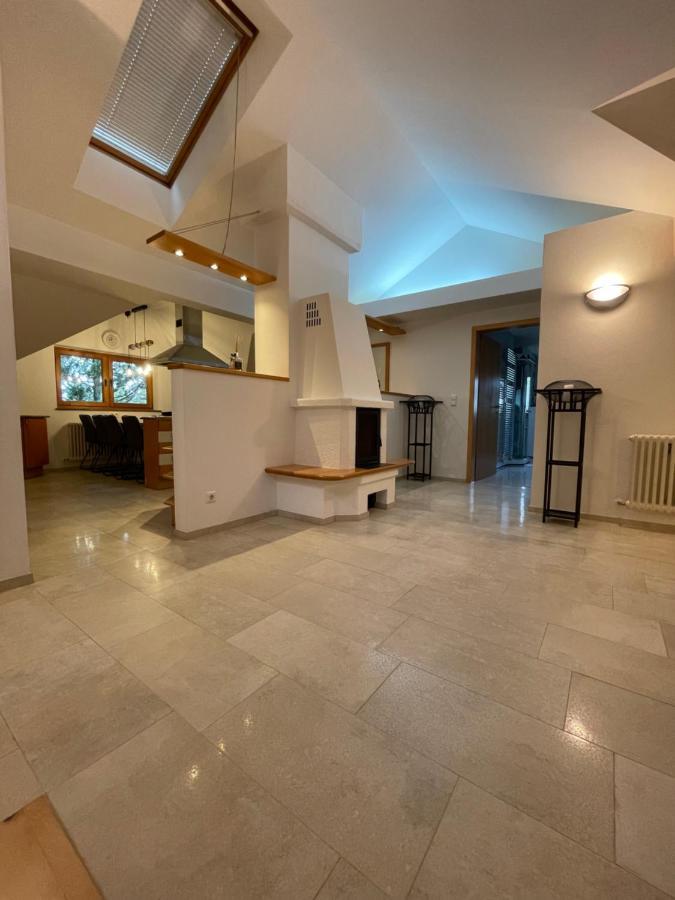Apartment Undertheroof At Salzburg