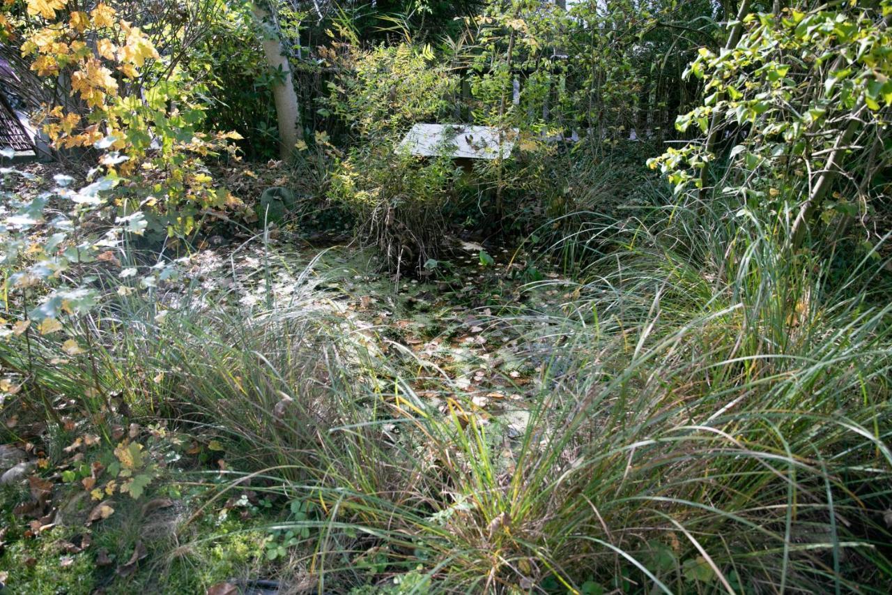 Villa Family Wellhouse Garden Direct In Salzburg, Sunny Big Garden, Up To 16 Pax, Bikes For Free, Bbq, Sunbeds, Parking For Free, 15 Min Sound Of Music