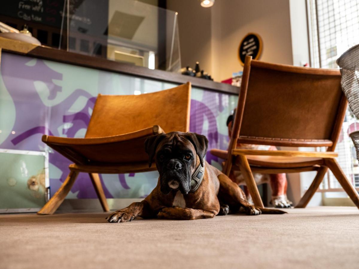 Carlton - Adults Only Hotel
