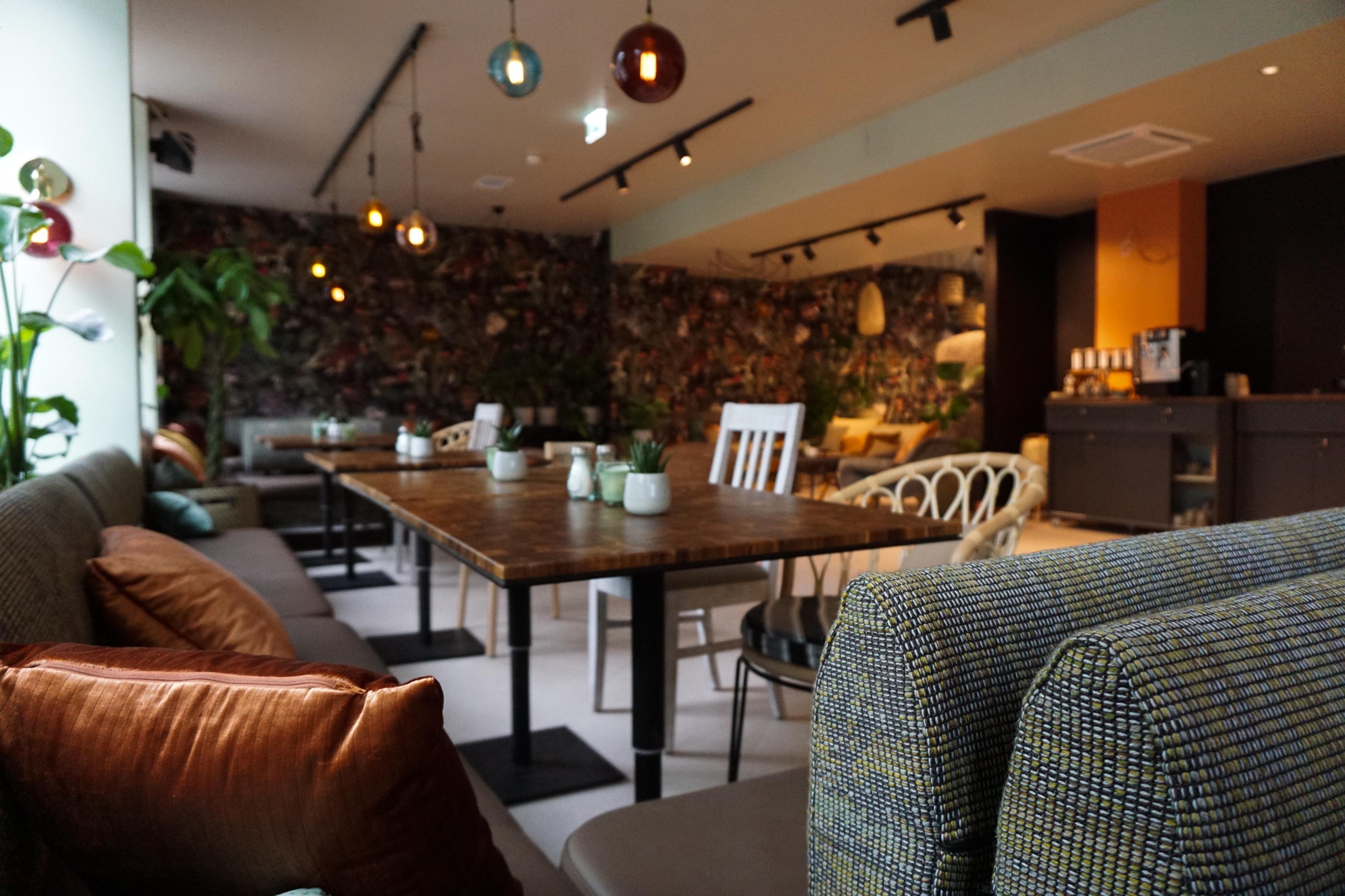 Hotel Cocoon
