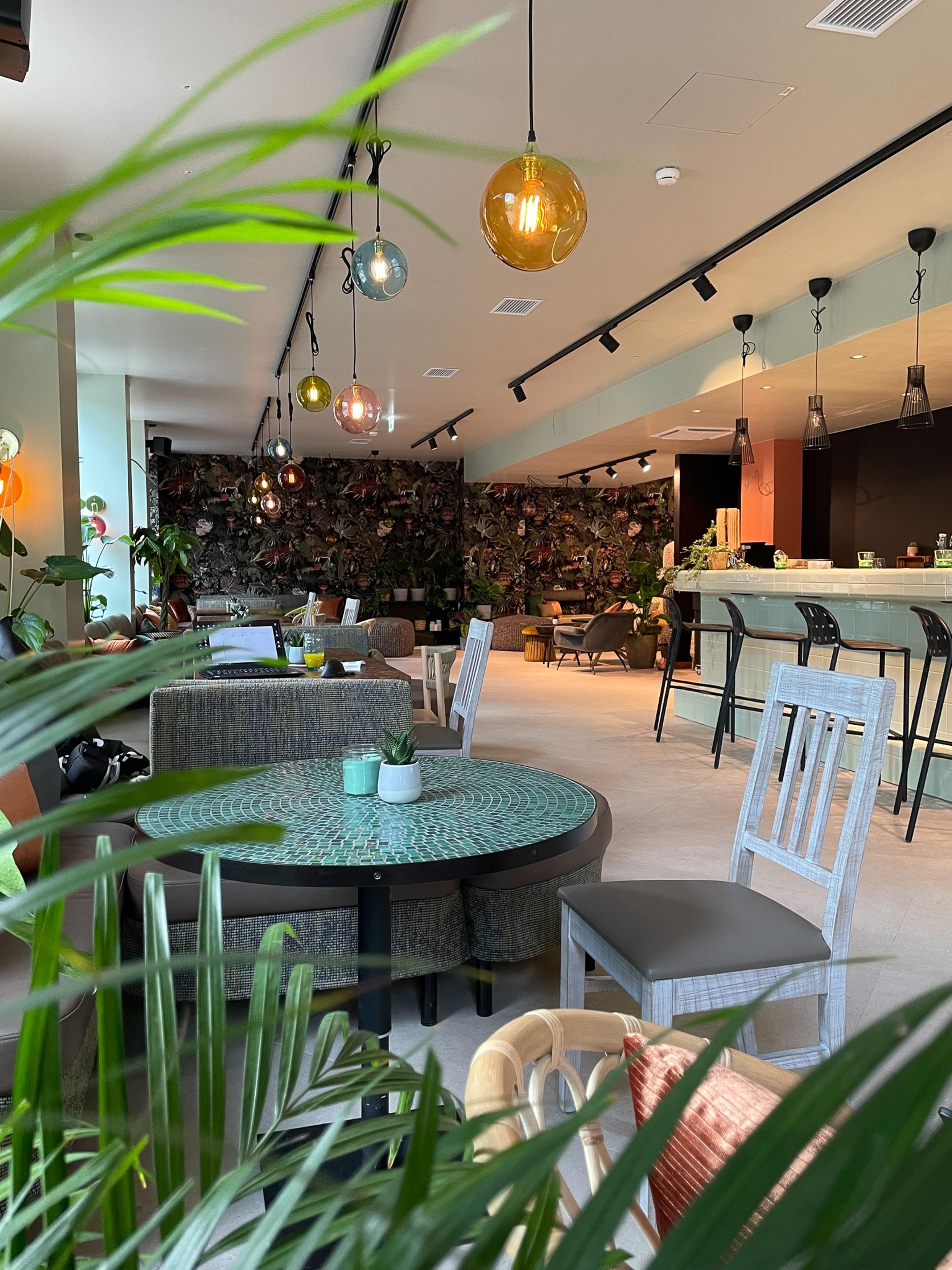 Hotel Cocoon