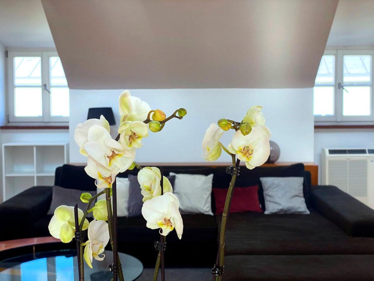 Apartment Ultimate Concierge Serviced Private Penthouse Apartment, In Altstadt Salzburg