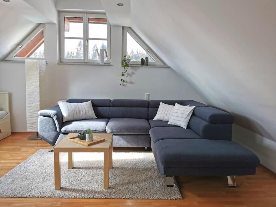 Ruhige 3-zimmer-wohnung Am Stadtrand Mit Bergblick