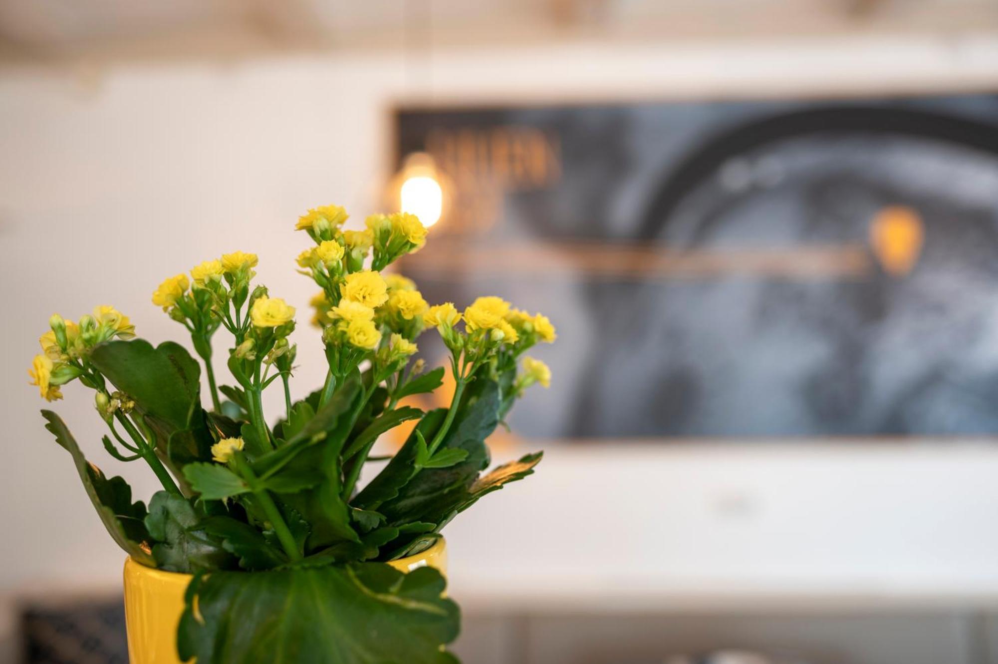 Hotel Lilienhof 3*