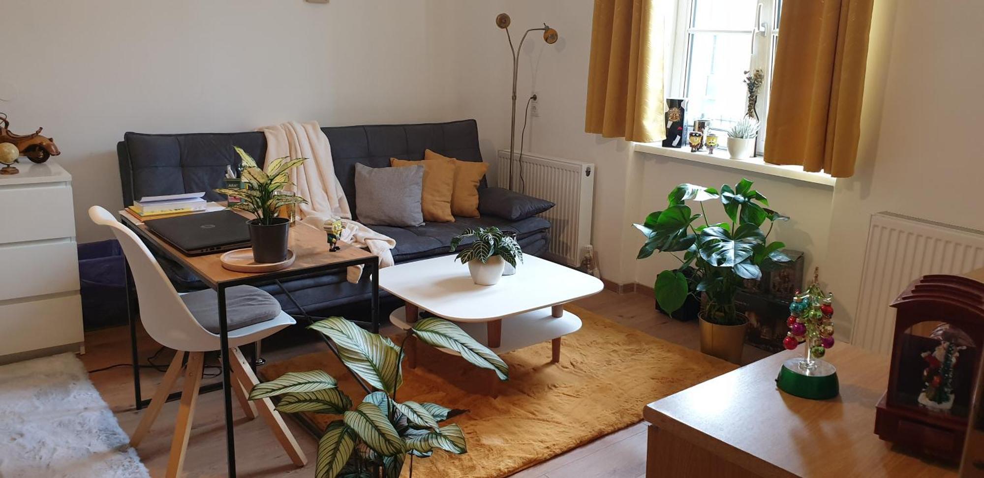 Fancy In Town Homestay Salzburg