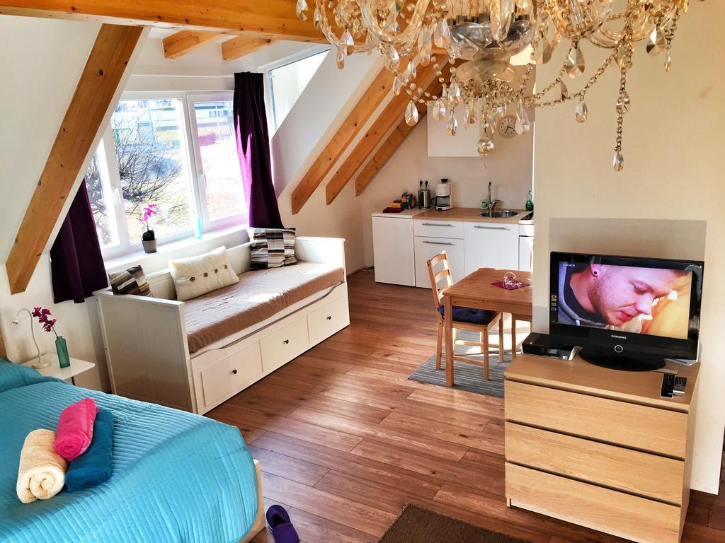 Book-A-Room Salzburg Apartment 5-6-7-8 Holiday home *