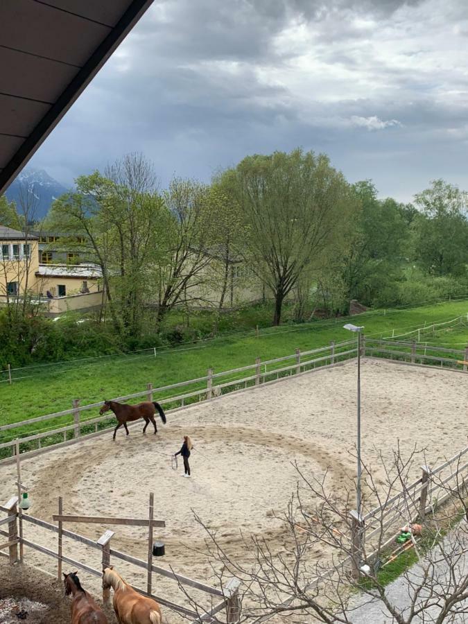 Garconniere Im Grunen Herzen Von Apartment *