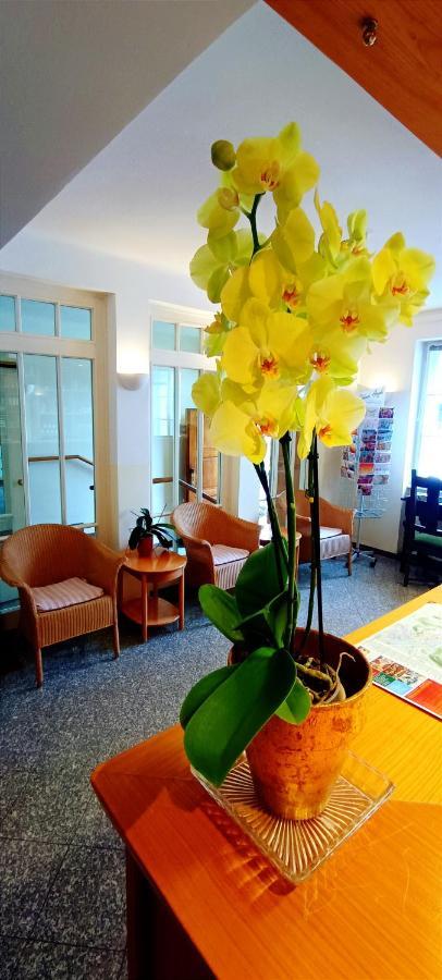 Homestay Johannes Schloessl - Gaestehaus Der Pallottiner Am Moenchsberg *