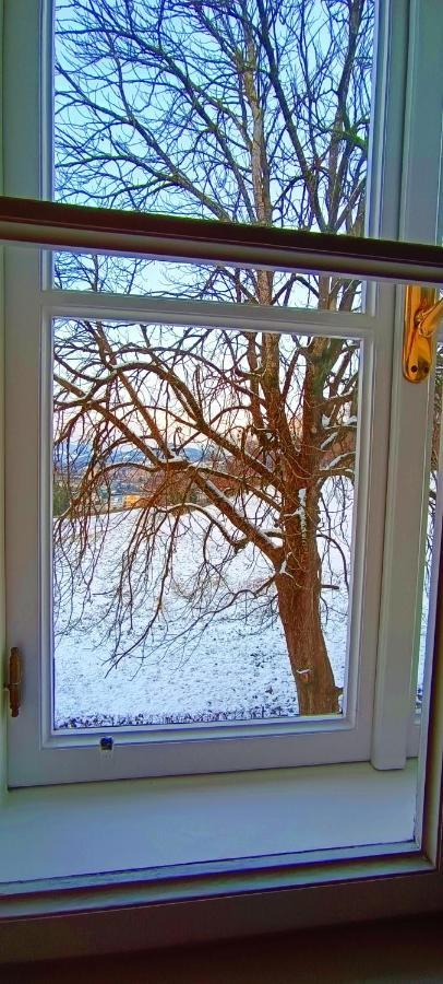 Homestay Johannes Schloessl - Gaestehaus Der Pallottiner Am Moenchsberg *
