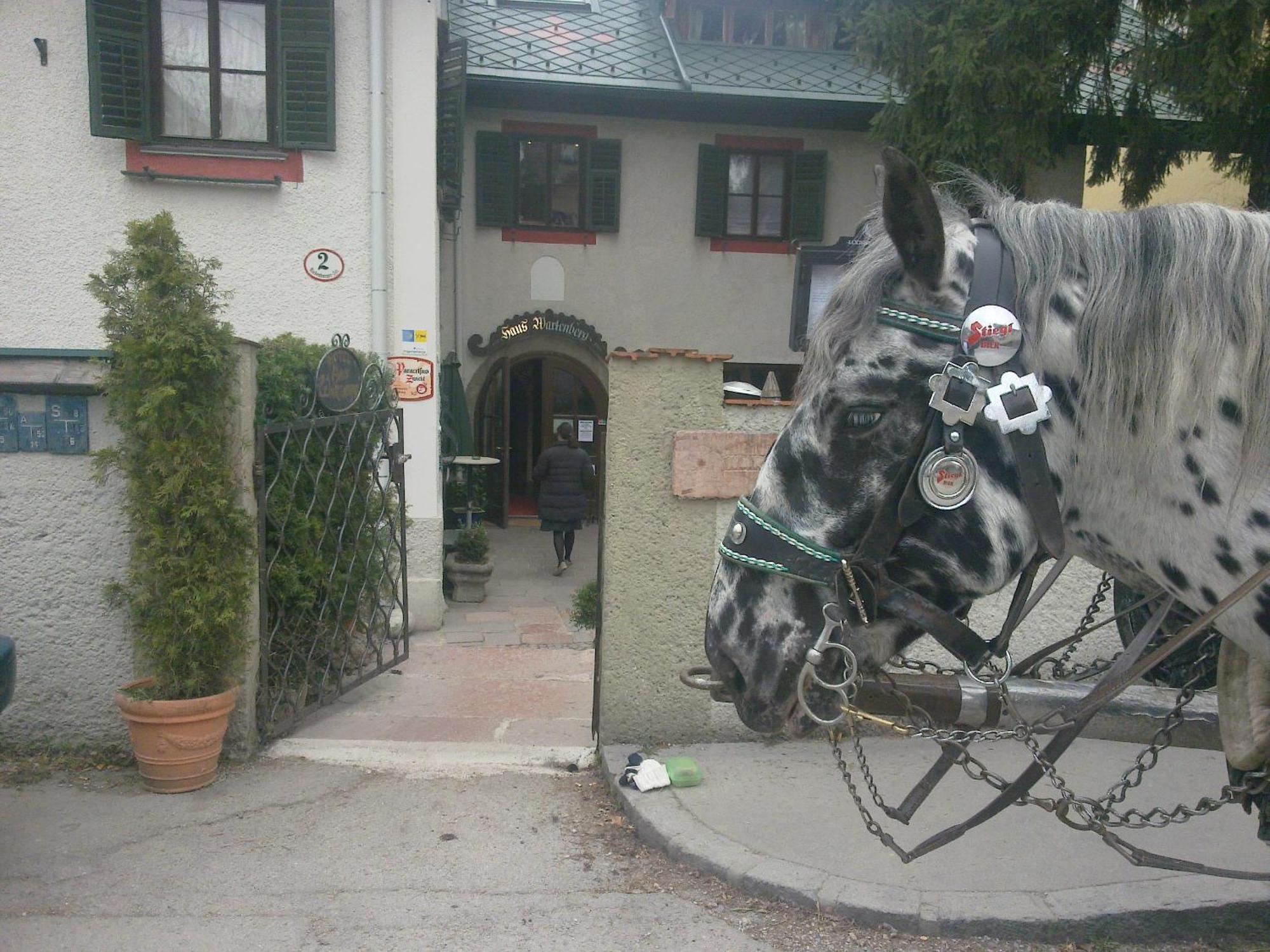 Guest house Haus Wartenberg 2*