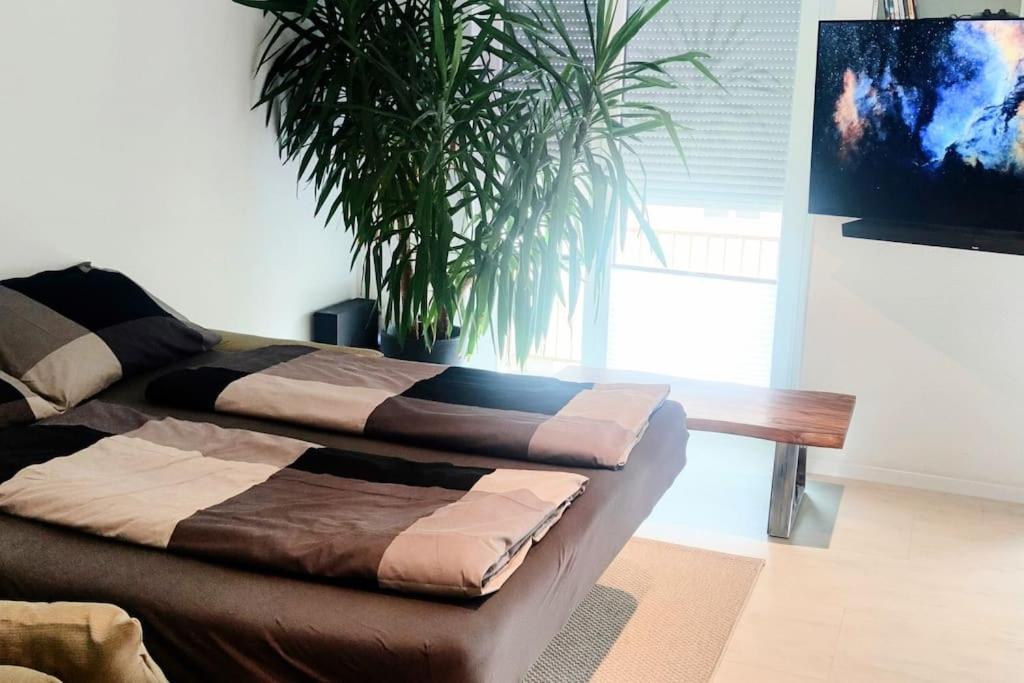 Modern - Perfectly Located *