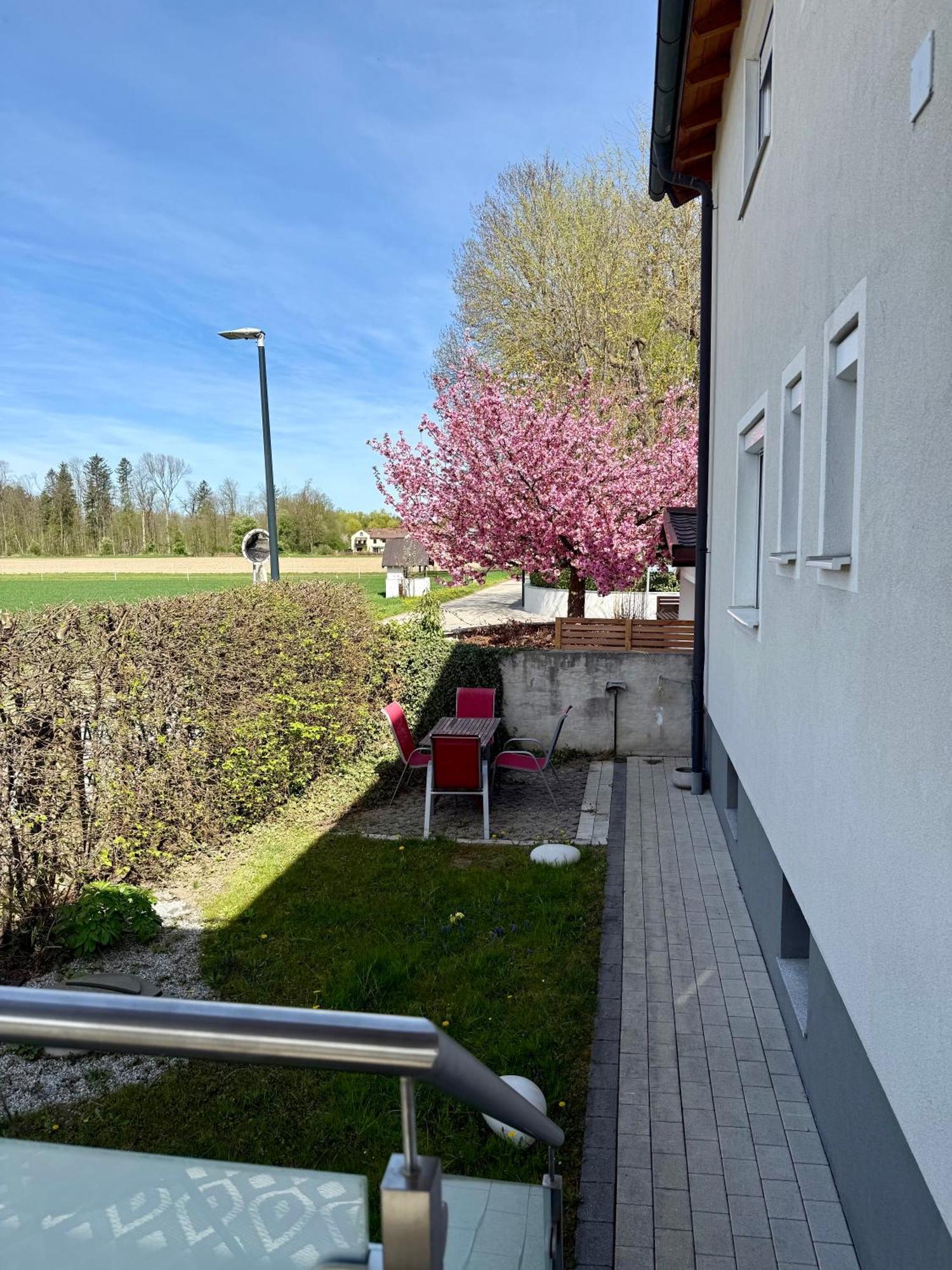Grüne Stadtoase: Gartenwohnung Mit Parkplatz Apartment Salzburg