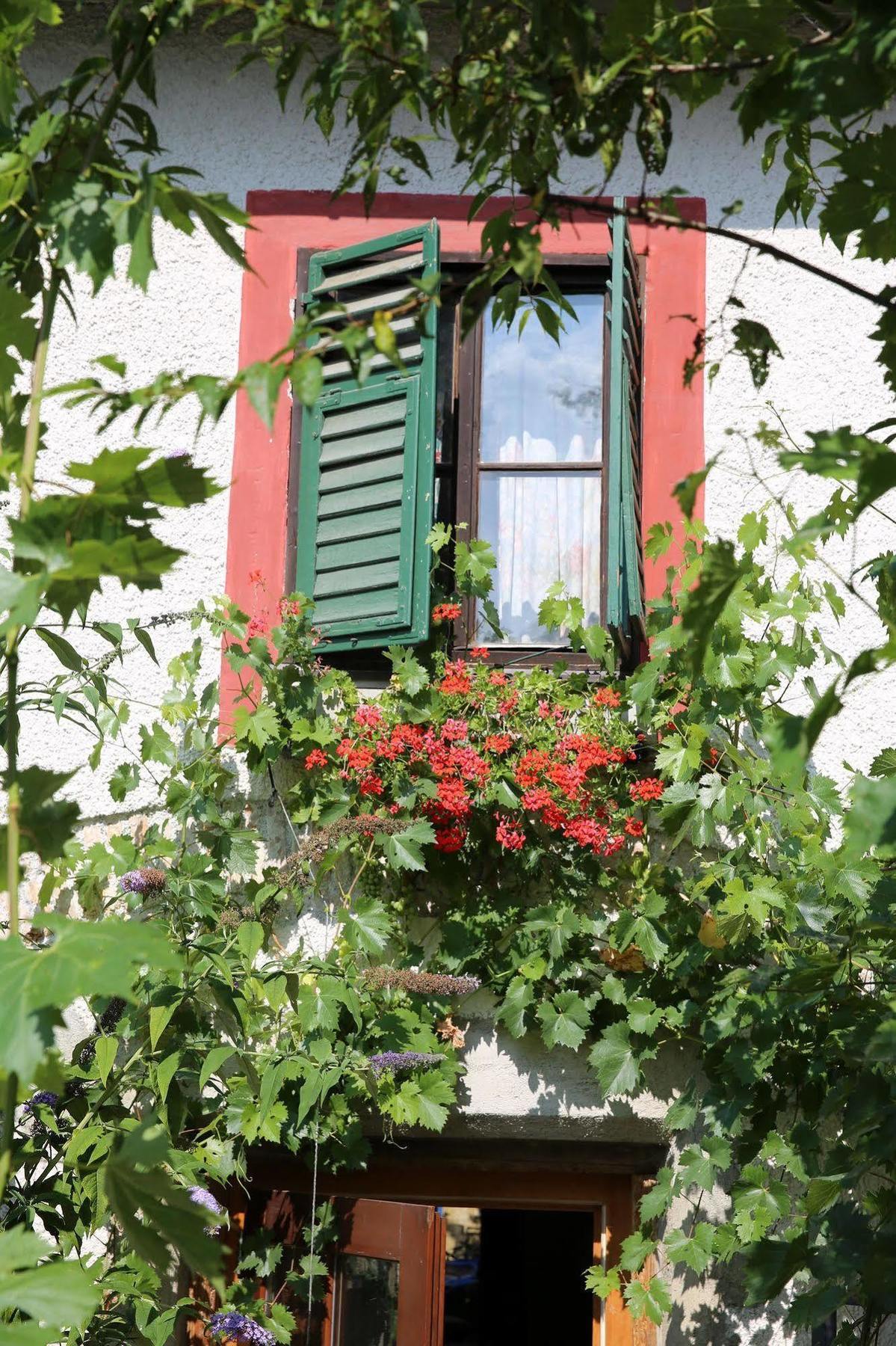 Guest house Haus Wartenberg