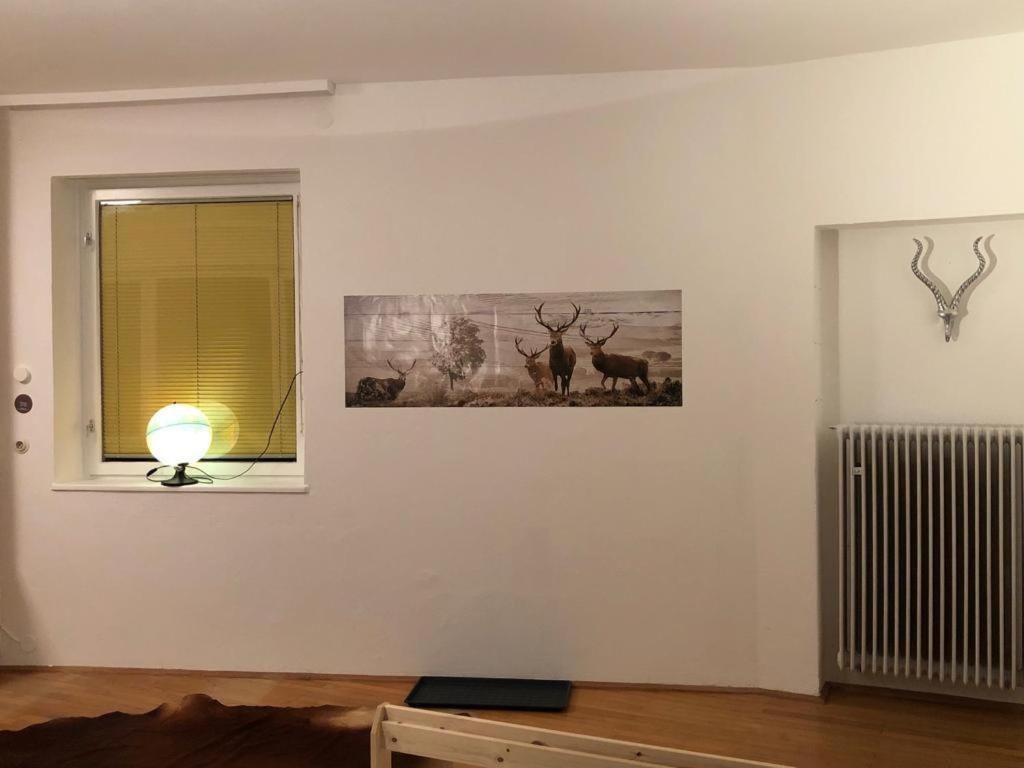 Homestay H Salzburg